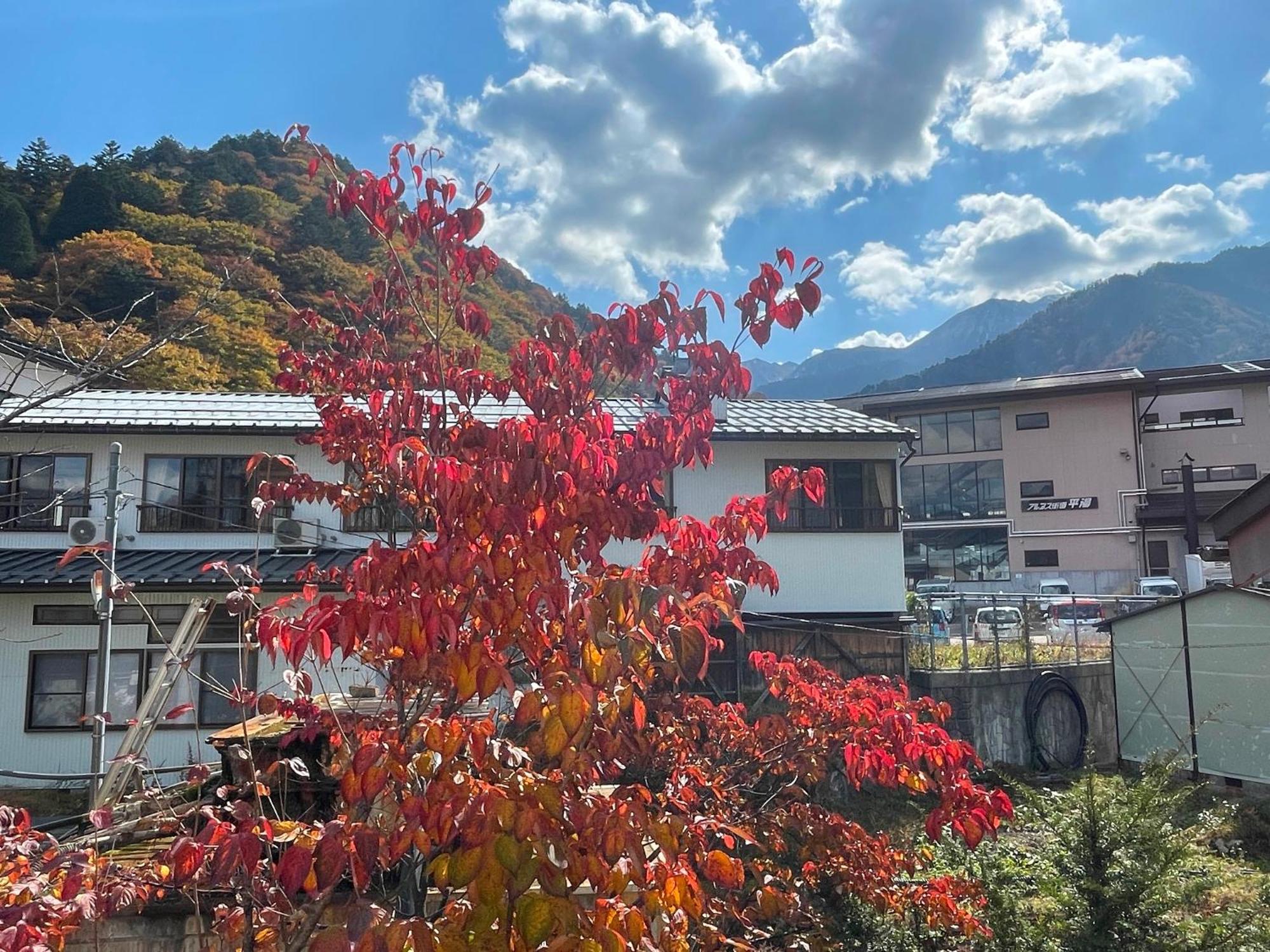 Tsuyukusa Hotel Takayama  Exterior foto